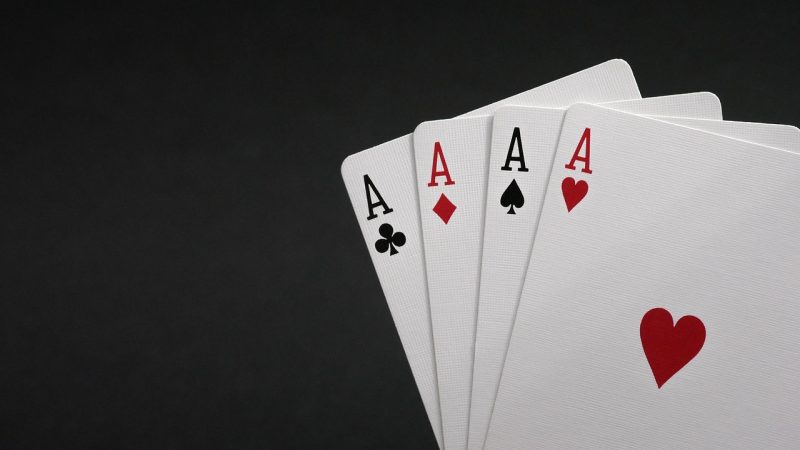 喵趣来袭有疑问、有纠错，欢迎直接来信